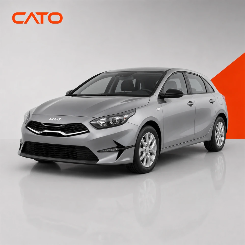 [D1594] لنت ترمز عقب  هیوندای کیاسید  | Cato