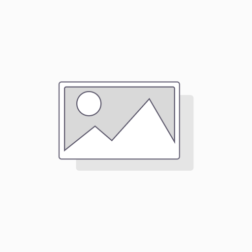 [D900] لنت ترمز عقب  اینفینیتی ‪‬ Cato | G20